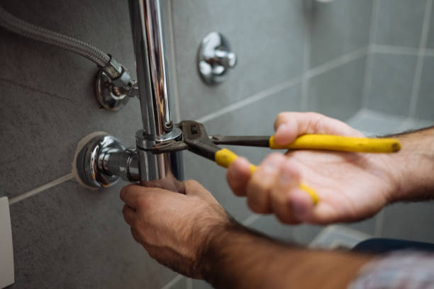 Best Plumbing Repair Near Me  in Santee, CA