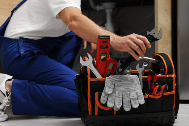 Best Sprinkler Systems  in Santee, CA